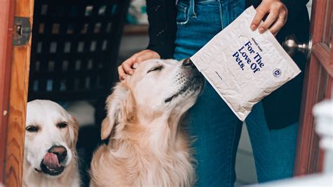 verband für die deutsche hundewesen.